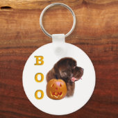 Neufundland (braun) Boo Schlüsselanhänger (Vorderseite)