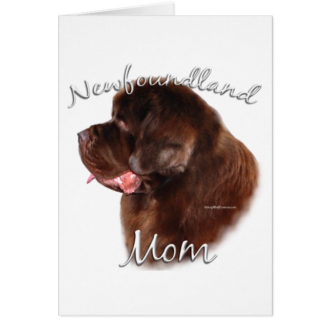 Neufundland (braun) Mama 2 (Vorne)