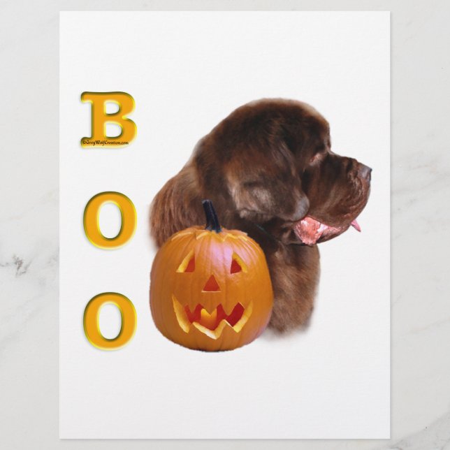 Neufundland Brown Halloween BOO (Vorderseite)