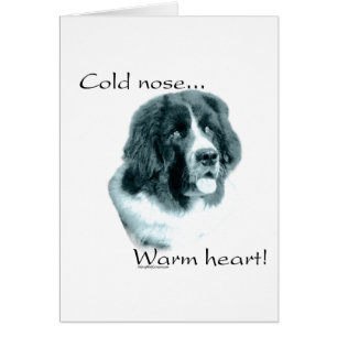 Neufundland Cold Nose Warmes Herz