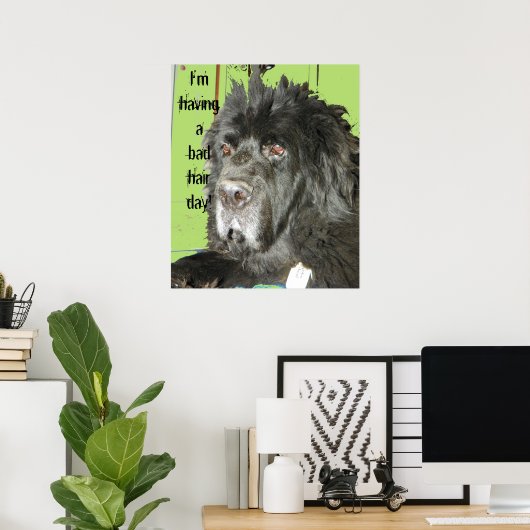 Neufundland Dog Bad Hair Day Poster (Heimbüro)