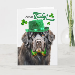 Neufundland Dog Feelin' Lucky St Patrick's Day Feiertagskarte