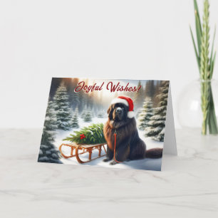 Neufundland Dog Tree Pull Sled Weihnachtskarte Feiertagskarte