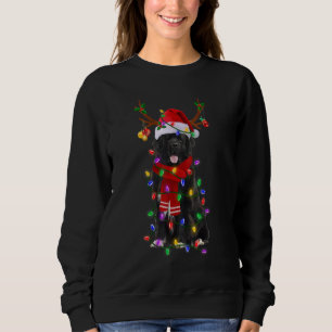 Neufundland Dog Tree Weihnachtsbeleuchtung Xmas Pa Sweatshirt