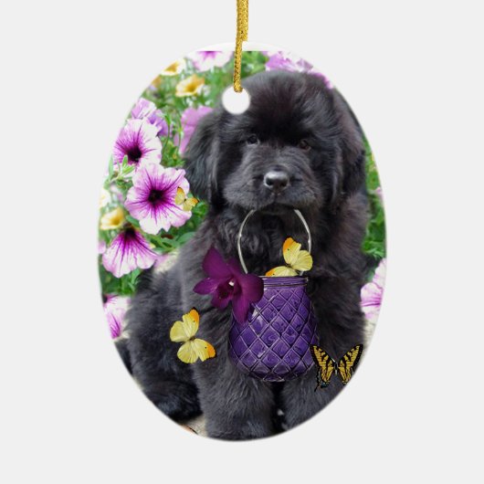 Neufundland ein sonnigen Tag Keramikornament (Vorne)