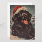 Neufundland Feiertagskarte (Vorne/Hinten)