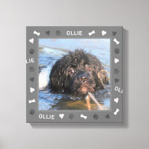 Neufundland - Foto und Name