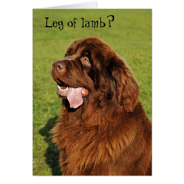 Neufundland Funny Card (Vorne)