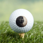 Neufundland Golfball (Insitu T-Shirt)