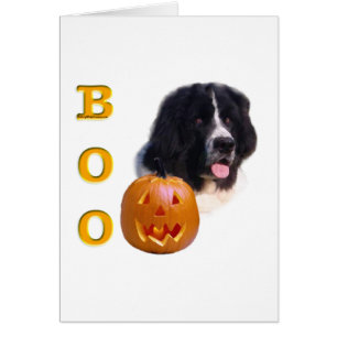 Neufundland (Grundbesitzer) Boo