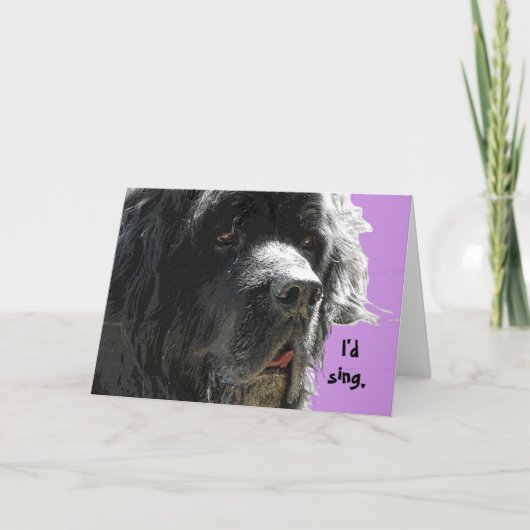 Neufundland Happy Birthday Karte (Vorderseite)