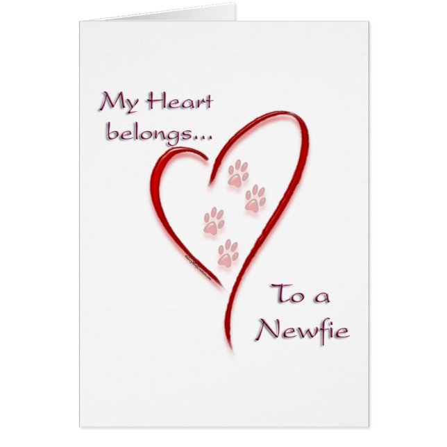 Neufundland Heart Belongs (Vorne)