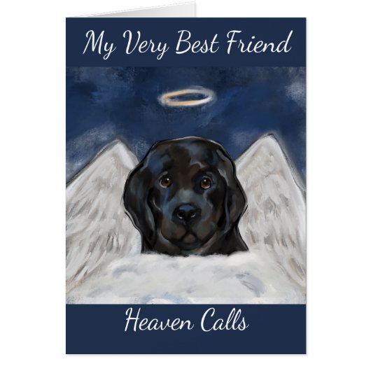 Neufundland-Hund (Vorne)