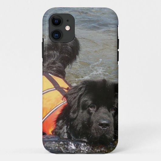 Neufundland-Hund Case-Mate iPhone Hülle (Rückseite)