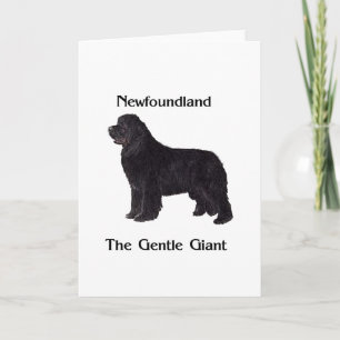 Neufundland-Hund der leichte Riese Karte