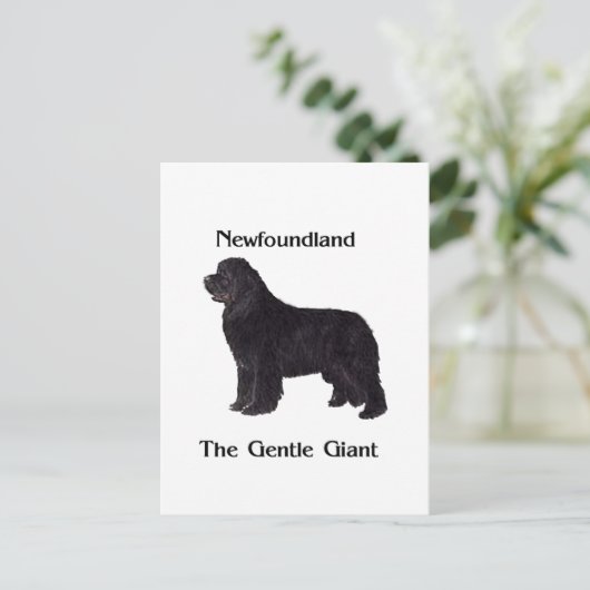 Neufundland-Hund der leichte Riese Postkarte (Stehend Vorderseite)