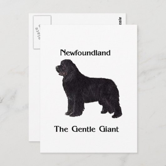 Neufundland-Hund der leichte Riese Postkarte (Vorne/Hinten)