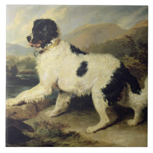 Neufundland Hund genannt Lion, 1824 (Öl auf Leinw Fliese