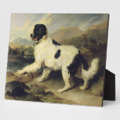 Neufundland Hund genannt Löwe, 1824 (Öl auf Leinwa Fotoplatte (Seite)
