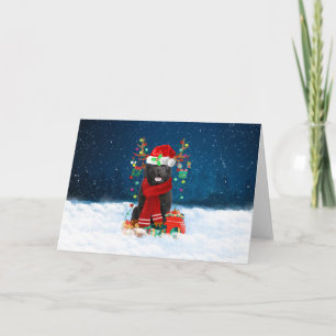 Neufundland Hund im Schnee mit Weihnachtsgeschenke Karte