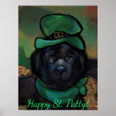 Neufundland-Hund Poster (Vorne)