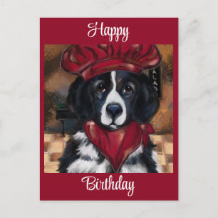 Neufundland-Hund Postkarte