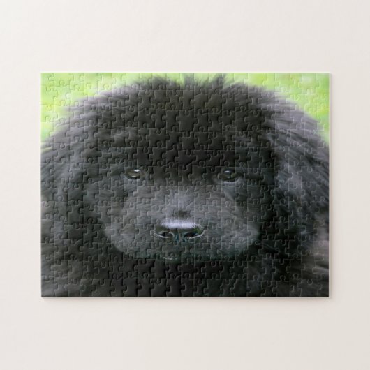 Neufundland Hund. Puzzle (Horizontal)