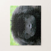 Neufundland Hund. Puzzle (Vertikal)