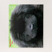 Neufundland Hund. Puzzle (Vertikal)