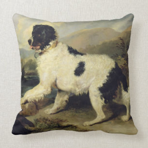 Neufundland-Hund rief Lion, 1824 an (Öl auf Kissen