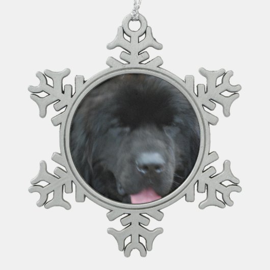 Neufundland-Hund Schneeflocken Zinn-Ornament (Vorderseite)