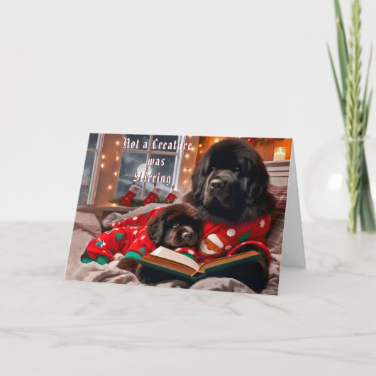 Neufundland Hund Storytime Weihnachtskarte Feiertagskarte (Vorderseite)