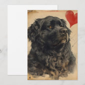 Neufundland Hund Vintag Valentinstag Feiertagskarte (Vorne/Hinten)