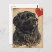Neufundland Hund Vintag Valentinstag Postkarte (Vorne/Hinten)