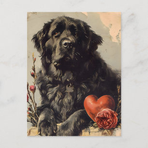 Neufundland Hund Vintag Valentinstag Postkarte