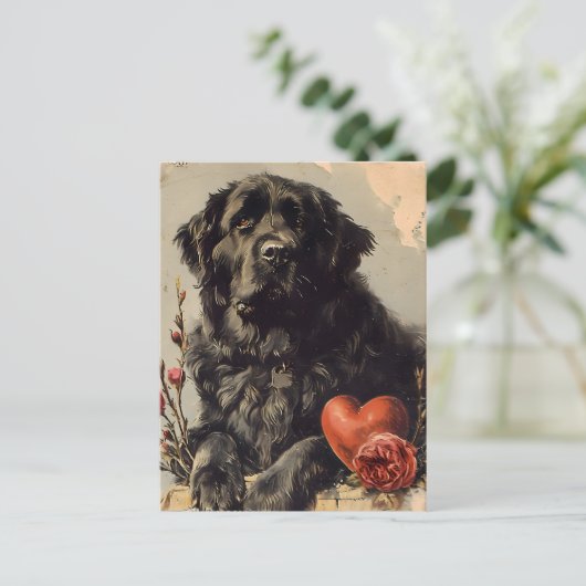 Neufundland Hund Vintag Valentinstag Postkarte (Stehend Vorderseite)