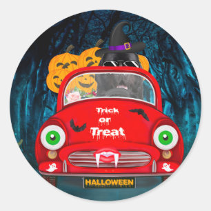 Neufundland Hunde Autofahren Auto Beängstigend Hal Runder Aufkleber