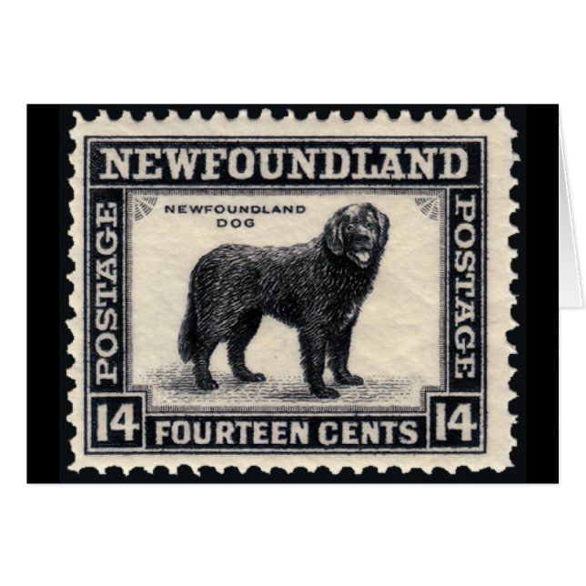 Neufundland Hunde Briefmarke Geschenke (Vorderseite (Horizontal))