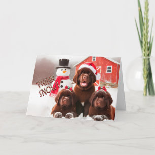 Neufundland Hunde Brown, Schnee Weihnachtskarte Feiertagskarte