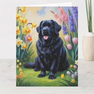 Neufundland Hunde Frühlingsblumen Malerei Karte