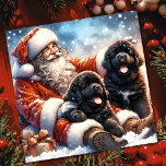 Neufundland Hunde mit Weihnachtsfeiertag Feiertagskarte<br><div class="desc">Weihnachten im Vintagen Stil mit zwei wunderschönen Welpen Welpen Hunde Fantasy Art Urlaubskarte. Personalisieren Sie dies mit Ihrer eigenen Nachricht und Ihrem Familiennamen,  um Freunde und Familie für den Urlaub zu schicken.</div>