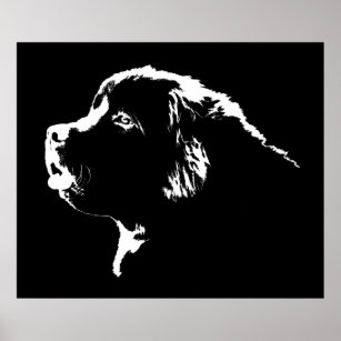 Neufundland Hunde Print Hund Kunst Posters Geschen Poster