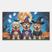 Neufundland Hunde Pumpkin Halloween Funny Rechteckiger Aufkleber (Vorderseite)