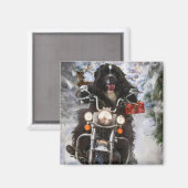 Neufundland Hunde reiten Motorrad Weihnachten Magnet (Vorderseite/Rückseite)