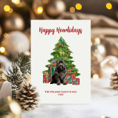 Neufundland Hunde Weihnachten