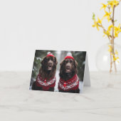 Neufundland Hunde Weihnachtskarte Karte (Gelbe Blume)