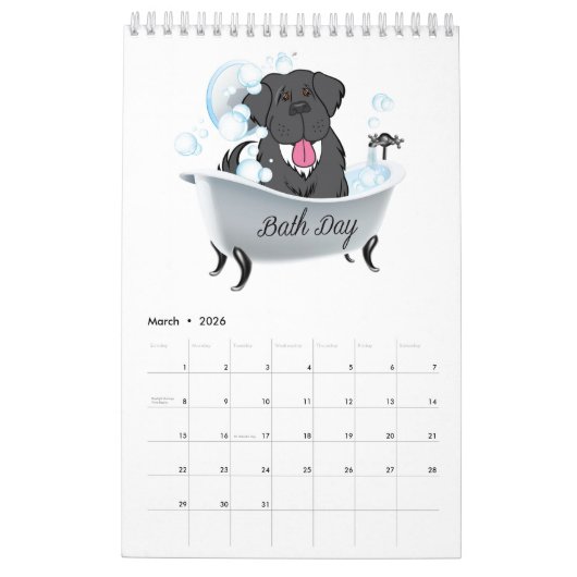 Neufundland-Hundekalender 2019 Kalender (Mär 2026)