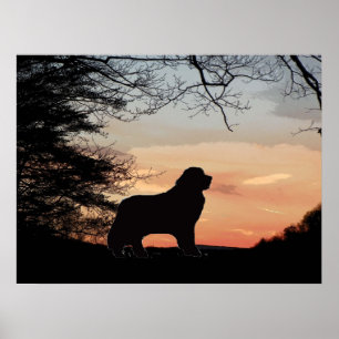 Neufundland-Hundeplakat Poster