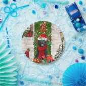 Neufundland - Hundeweihe Pappteller (Party)