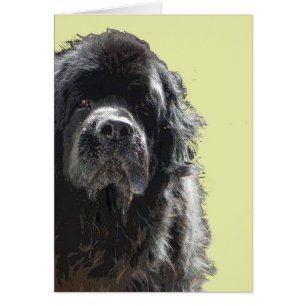 Neufundland-Hundkarte